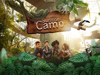 Summer Camp In The Rainforest: The Unique Eco-Friendly Summer Camp Experience Returns To The Green Planet