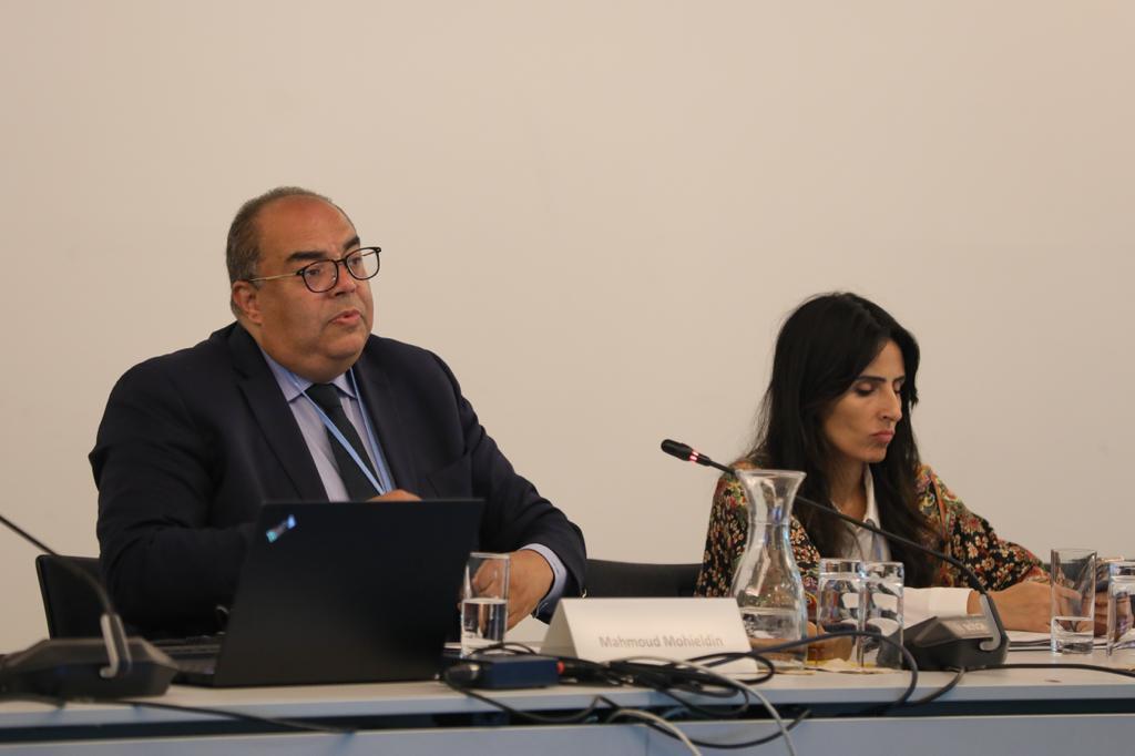 COP27 Prioritises Adaptation To Climate Change Through Launching SAA Action Plan: Mohieldin - Vimarsana News