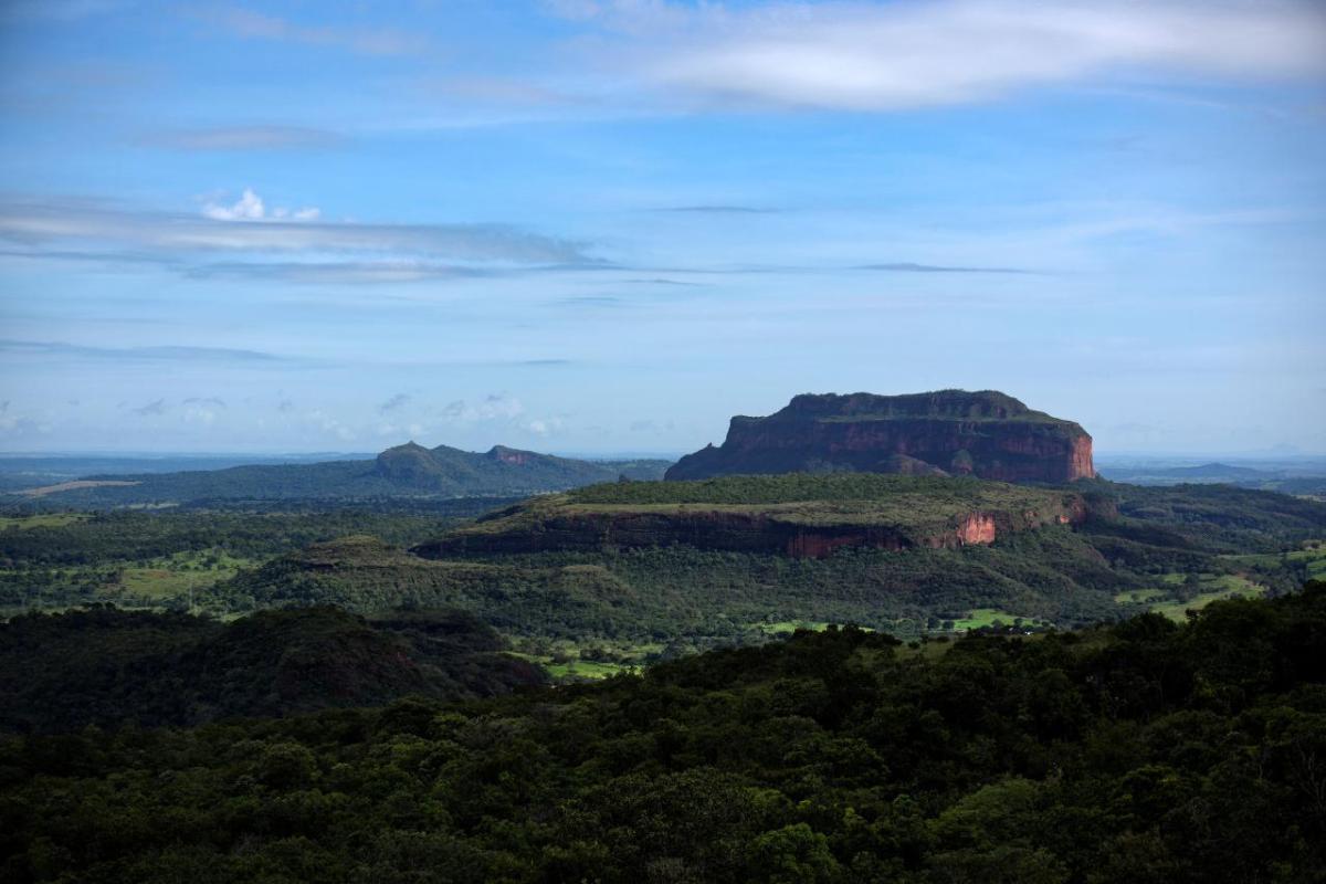 Global Non-Profits Textile Exchange And Leather Working Group Team Up To Launch The Deforestation-Free Call To Action For Leather - Vimarsana News