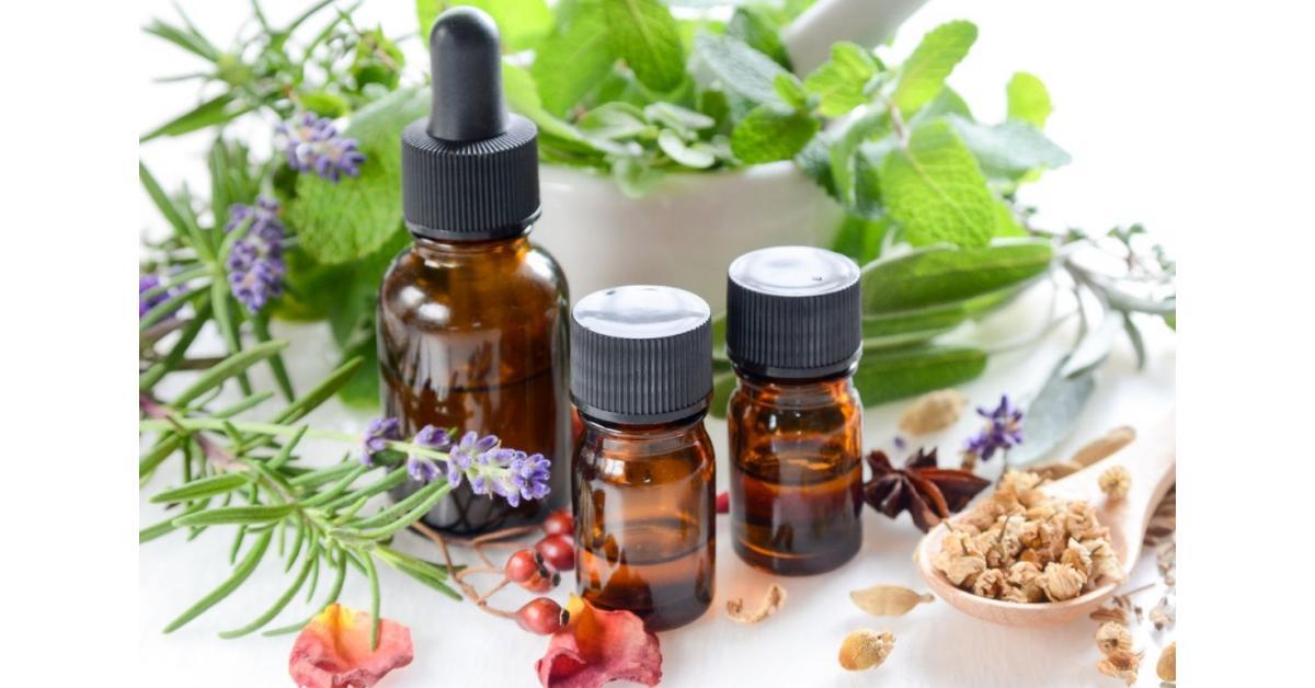 Essential Oil Market 2023 Remarking Enormous Growth With Recent Trends & Demand Till 2030 | Biolandes, - Vimarsana News