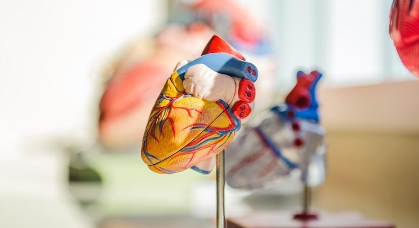 Lung, Heart Stem Cell Study Can Pave Way For New Covid Treatments - Vimarsana News