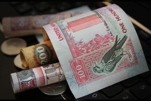 13 Private Joint-Stock Companies Listed In UAE Capital Markets With Total Capital Of AED 8.3 Billion - Vimarsana News