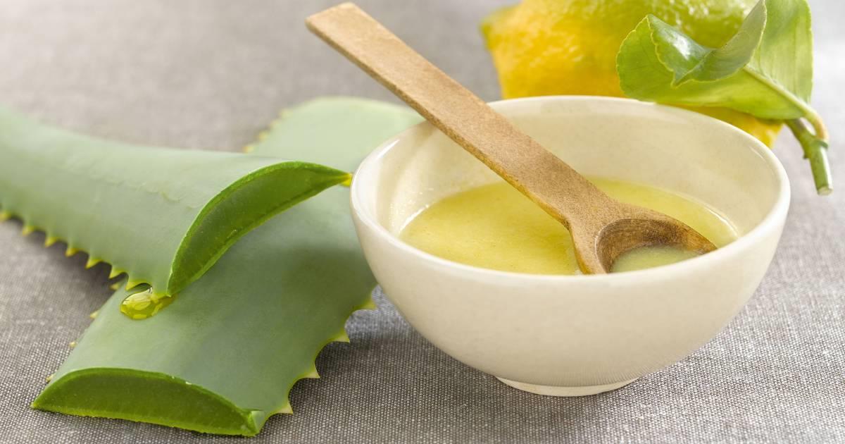 Learn All About Plant Medicine And How It Can Be Discovered Through A Couples Retreat Incosta Rica - Vimarsana News