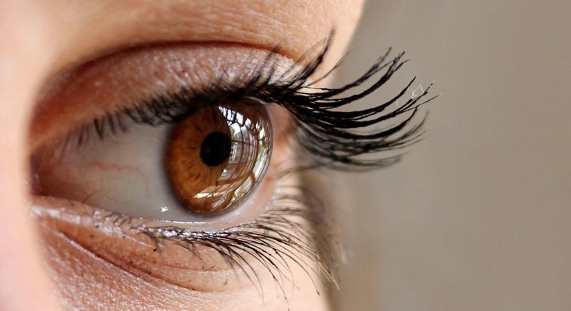 Changes In Eye May Soon Help Detect Alzheimer's: Study - Vimarsana News