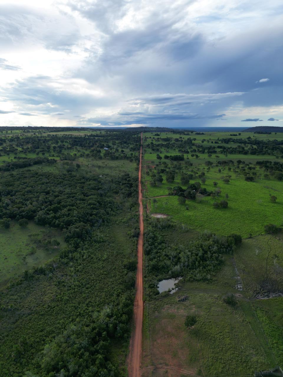 Tackling Deforestation In Brazil: The Tapestry Foundation's 