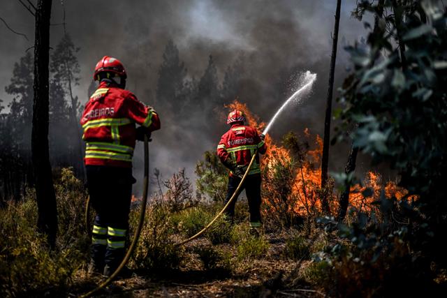 Portugal, Spain Battle Wildfires Amid Heatwave Alerts
