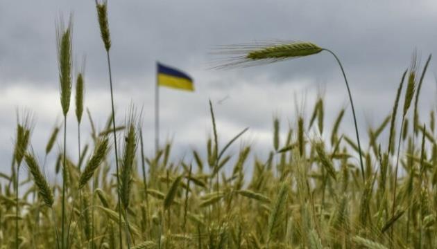 Ukraine Has Exported More Than 4.5M Tonnes Of Grain, Legumes | MENAFN.COM