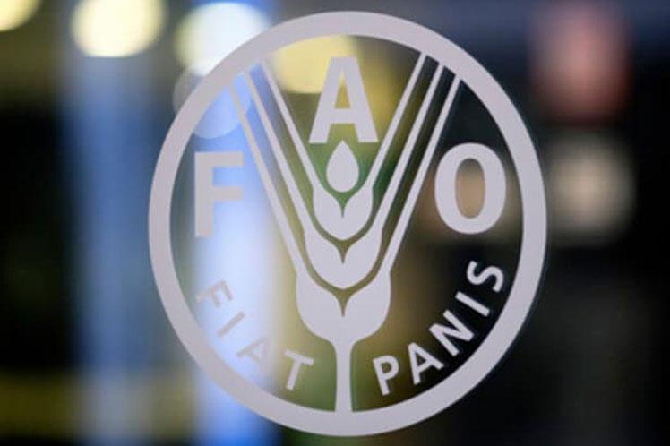 Fao Talks Food Export Improvement Strategy For Azerbaijan
