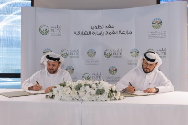 Sharjah's Department Of Agriculture And Livestock Launches 2Nd Phase Of Developing Mleiha Wheat Farm