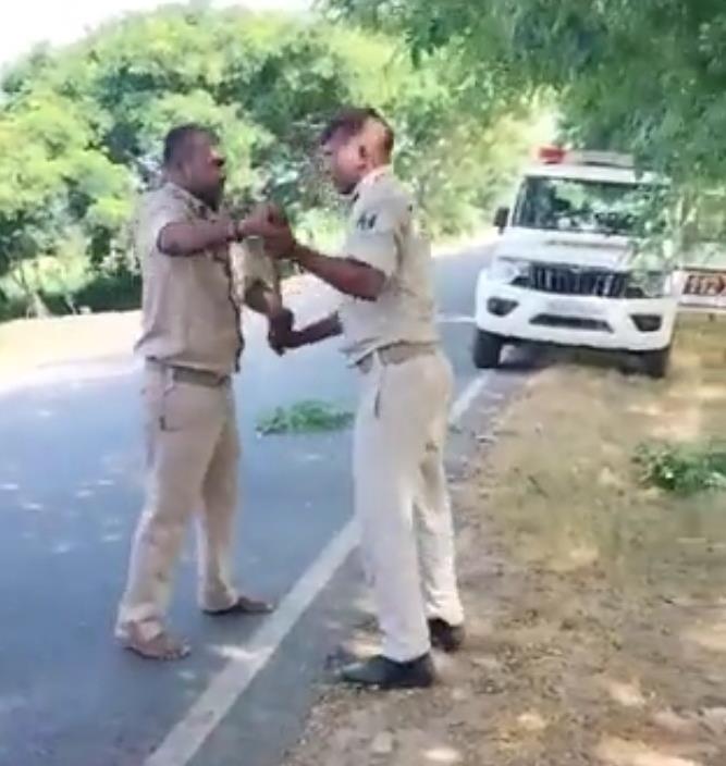 Two Cops Trade Blows Over Cut Of Illegal Levy In Bihar