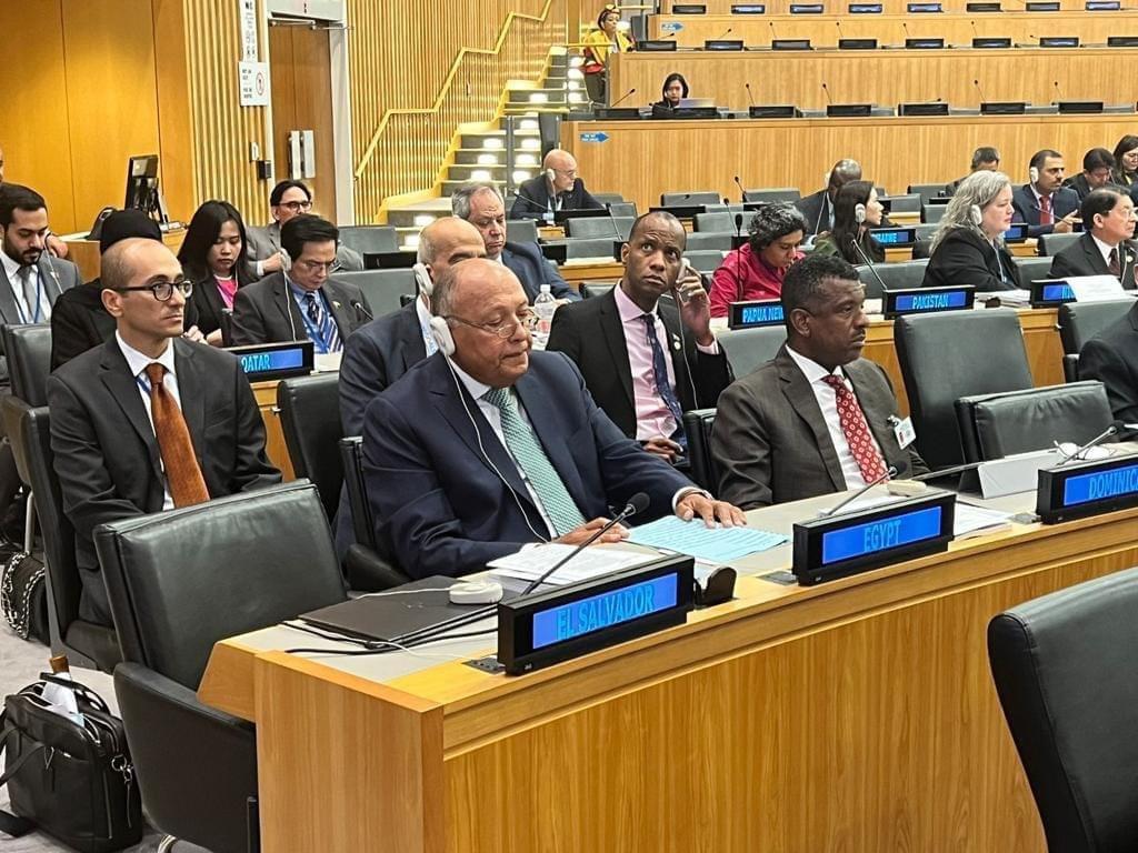 Egypt's FM Emphasises Need For Multilateral Action To Achieve Sdgs