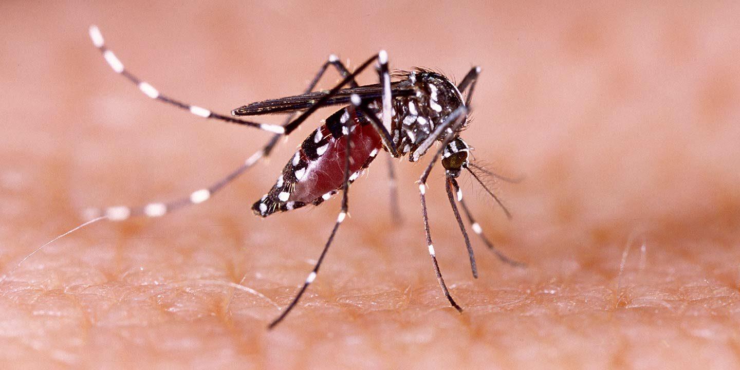 Surge In Fever Cases In Lucknow; Dengue, Typhoid On The Rise
