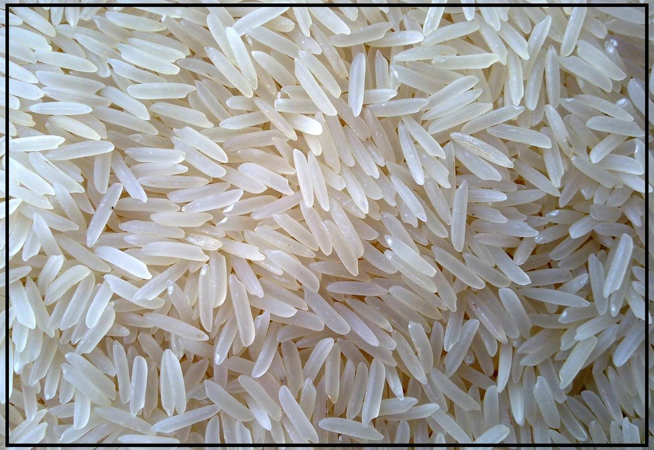 India's Curb On Basmati Rice Exports To Benefit Pakistan: Punjab Millers