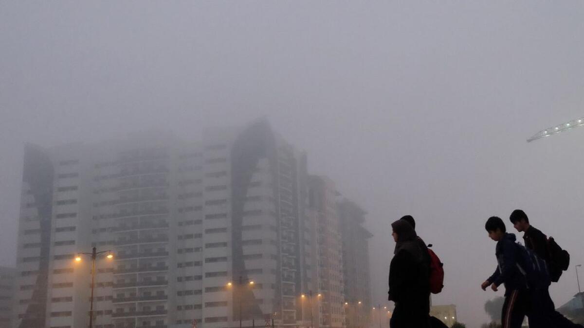 UAE Weather: Red Alert Issued For Fog    Police Warn About Poor Visibility On Roads