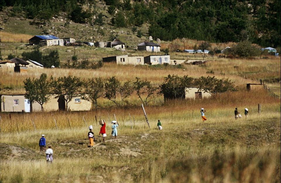 Zulu Land Dispute: Ingonyama Trust Furore Highlights The Problem Of Insecure Land Tenure For Millions Of South Africans In Rural Areas