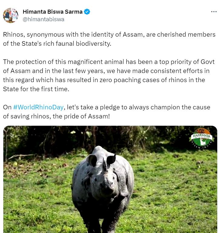 On World Rhino Day, Himanta Reaffirms Assam Govt’S Efforts To Stop Poaching Attempts