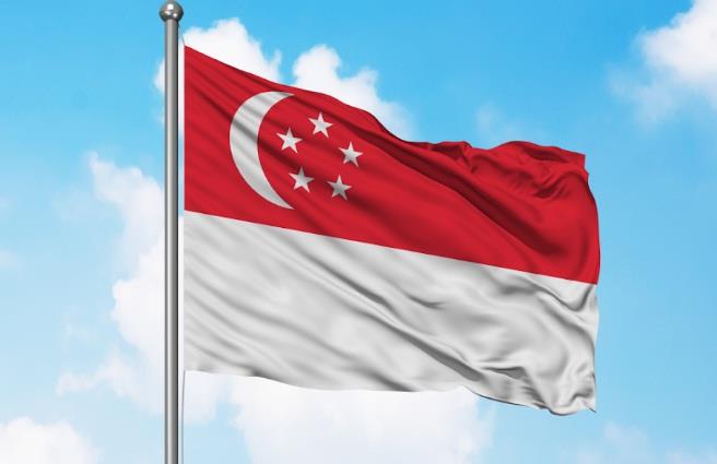 Indian-Origin Man Jailed For Wearing Singapore Flag As Cape While Shouting He's God