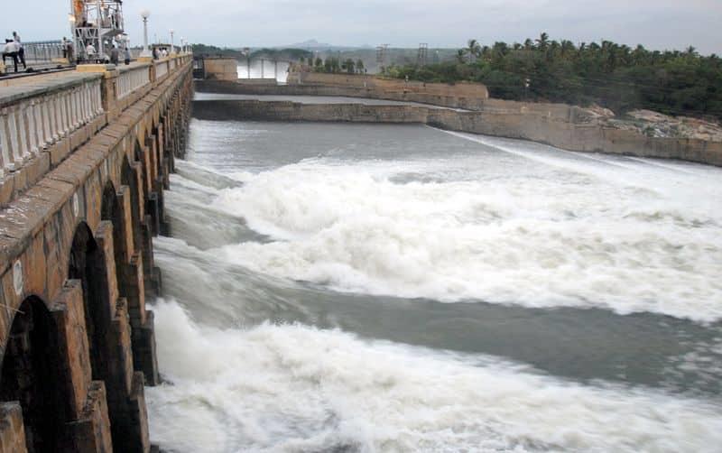 Cauvery Dispute: CWRC Orders Karnataka To Release 3,000 Cusecs Of Water Daily To Tamil Nadu