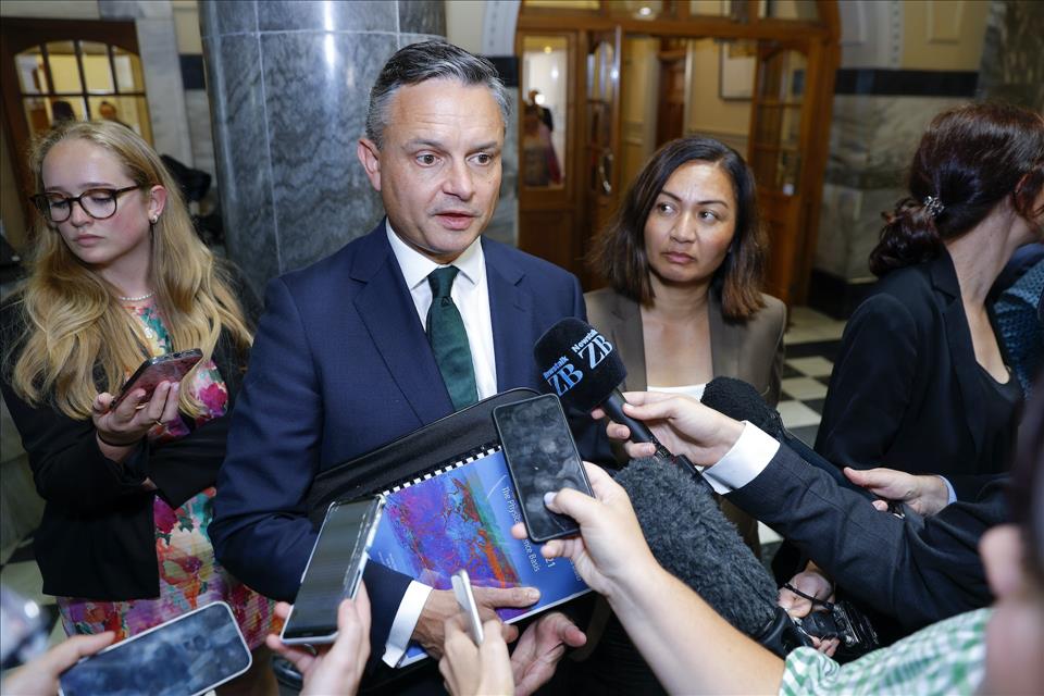 NZ's Green Party Is 'Filling The Void On The Left' As Voters Grow Frustrated With Labour's Centrist Shift