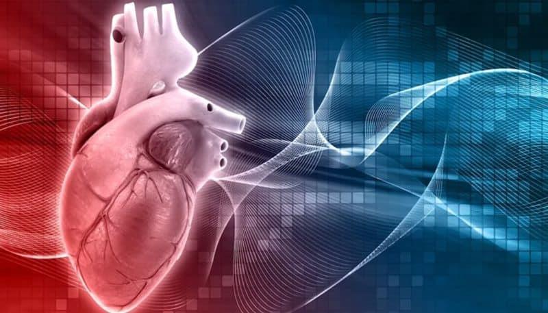 World Heart Day 2023: Unmasking Gender Disparities In Heart Disease Diagnosis And Treatment