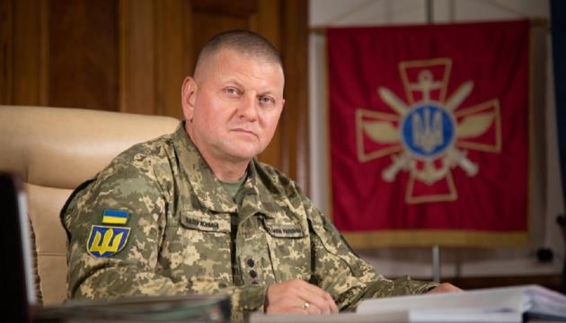 Zaluzhnyi Discusses AFU Priority Needs With General Cavoli Zaluzhnyi Discusses AFU Priority Needs With General Cavoli