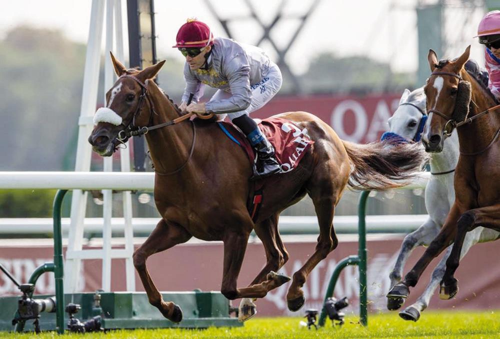 Al Shaqab Racing's Horses Dominate Arabian Races In Paris With Four Wins