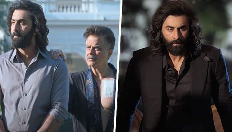 'Papa Meri Jaan' Song Out: 'Animal' New Song Touches Emotions With An Absent Father's Love 'Papa Meri Jaan' Song Out: 'Animal' New Song Touches Emotions With An Absent Father's Love