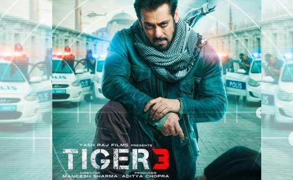 India-NZ Semi-Final Sends 'Tiger 3' BO Collections Plummeting India-NZ Semi-Final Sends 'Tiger 3' BO Collections Plummeting