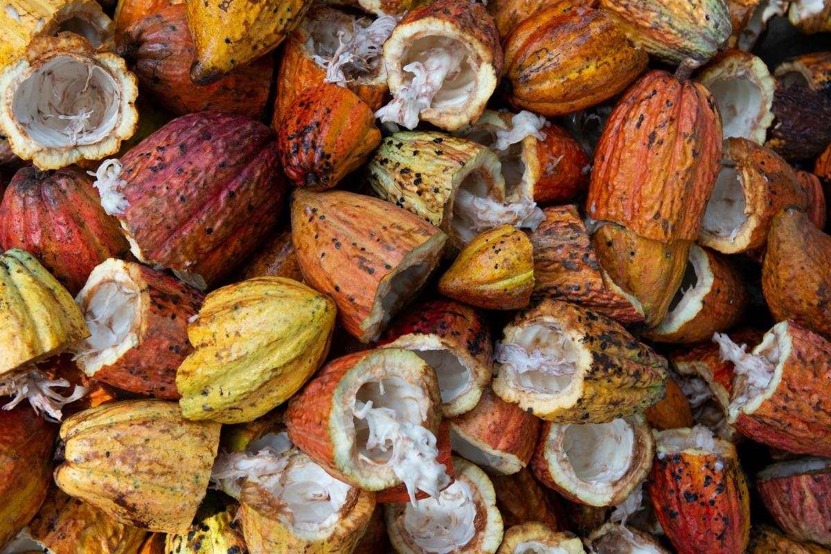 Ghana To Sign Costliest Loan Ever For Cocoa As Debt Crisis Bites