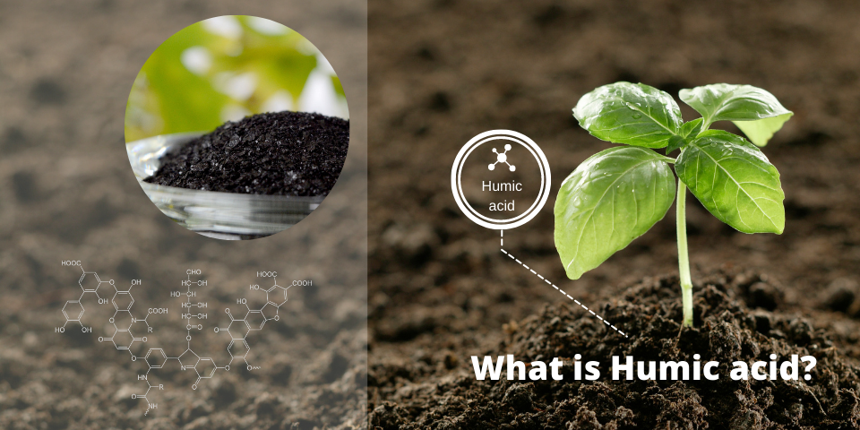 Growing Focus on Organic Farming & Sustainable Agriculture Boosts Humic Acid Market