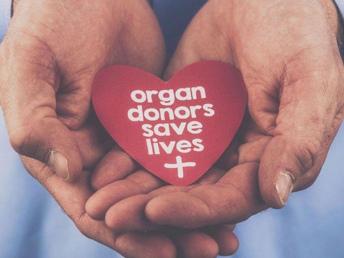 Why India Lags In Organ Donation