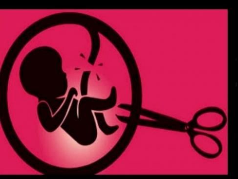 K'taka Female Foeticide Scam Handed Over To CID; Action Must Be Taken Against Those Who Involved In Female Foeticide, Says Health Minister
