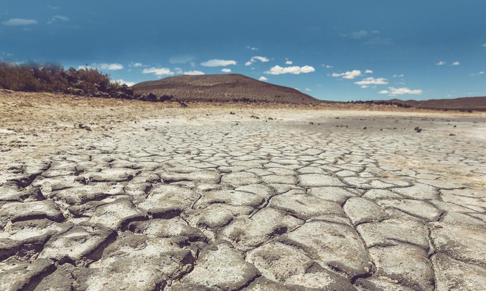 COP28: Global Drought Reaches Unprecedented Emergency Level, Says UN Report