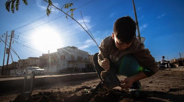 Green Future For Iraq - Nationwide Tree Planting Campaign