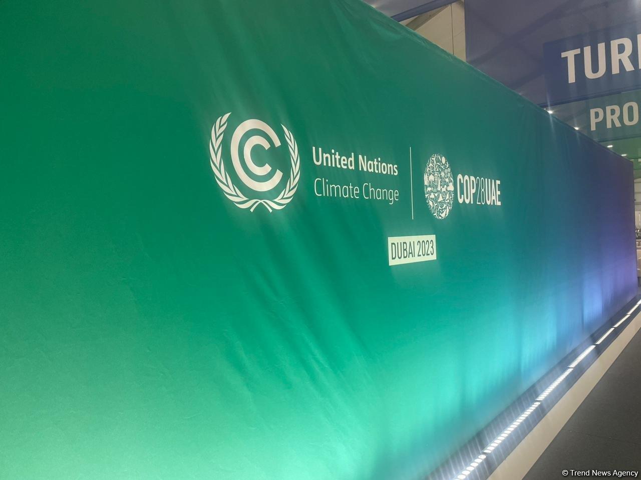 Azerbaijan Takes Spotlight At COP28 - Unpacking Crucial Role Of Its ...