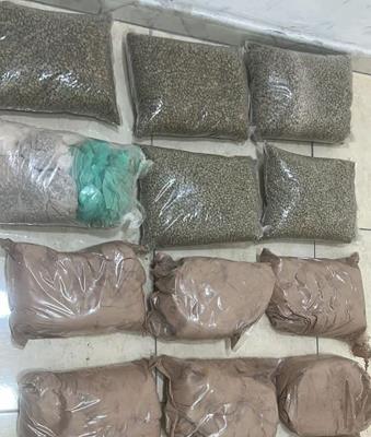 Anti-Narcotics Personnel Foil Drug Trafficking Attempt, Seize 47 Kilogrammes Of Cocaine - PSD