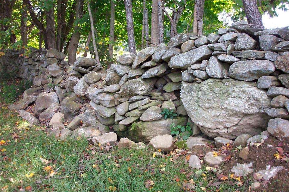 New England Stone Walls Lie At The Intersection Of History, Archaeology 