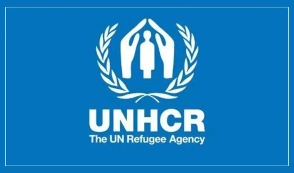 UNHCR Rep Calls Afghanistan A 'Forever Emergency'