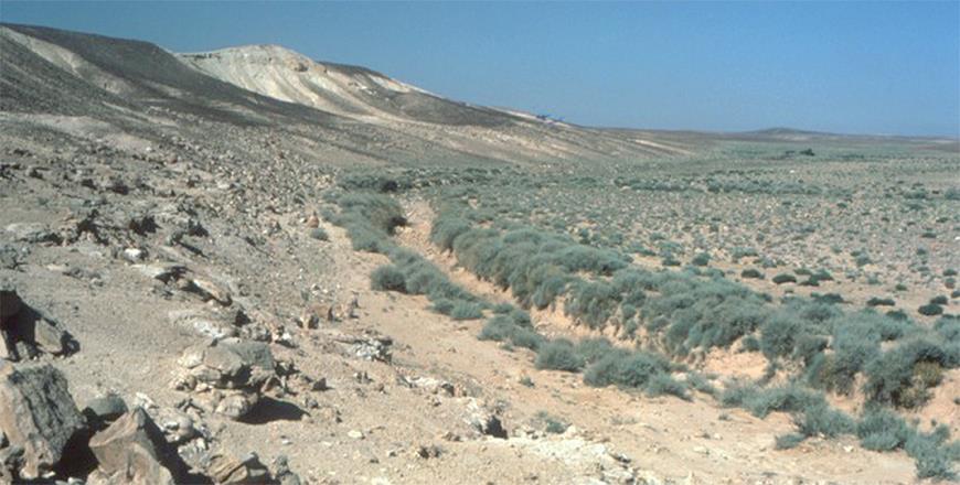 Northeast Jordan's Azraq Basin Challenges Perceptions Of Harsh Landscape
