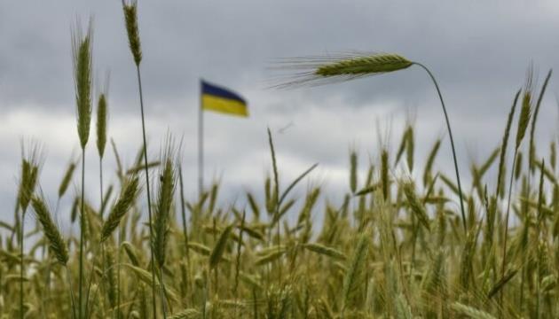 Ukrainian Farmers Harvest 78M T Of Grains, Oilseeds