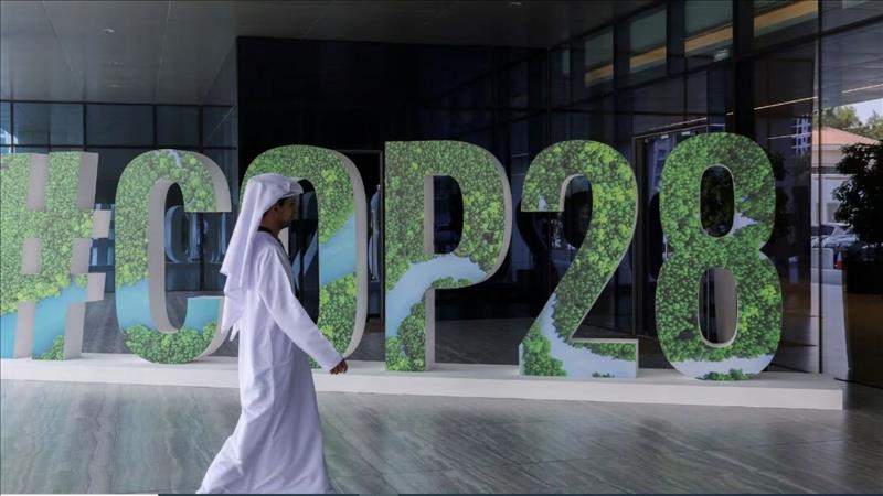 COP28: OPEC's 'Leaked Letter' Leaves France, Spain 'Stunned' And 'Disgusted' | Here's Why
