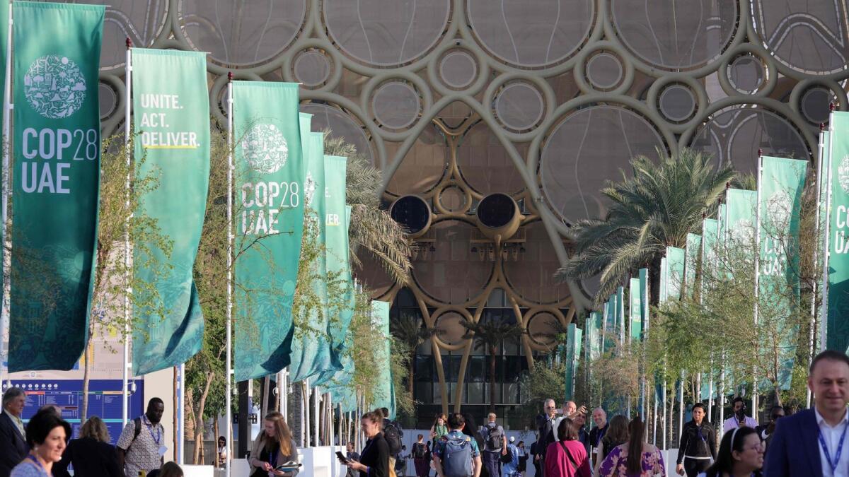 COP28 In Dubai: Nature, Land Use And Ocean Day Sees Over $186 Million In Commitments