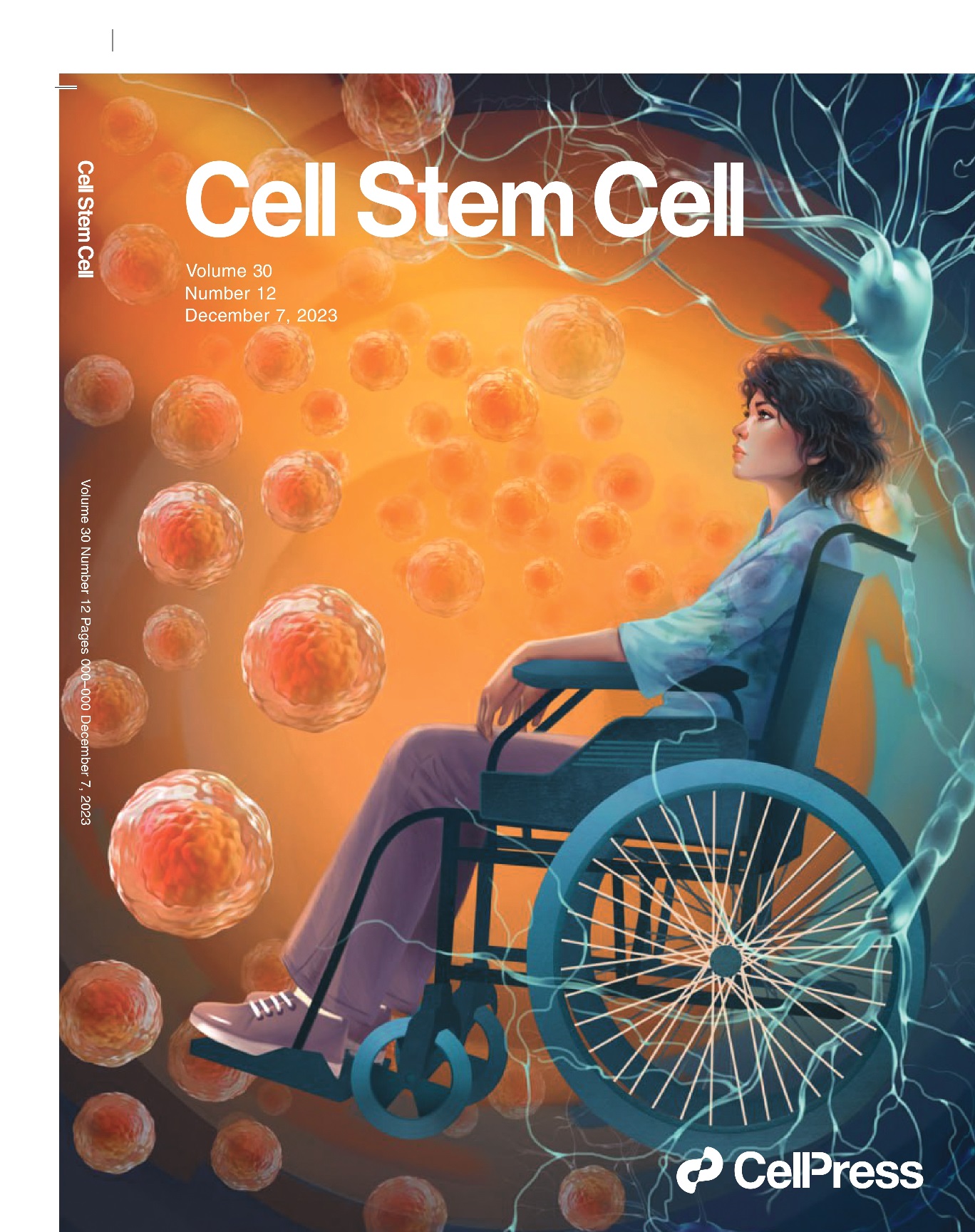 Abu Dhabi Stem Cells Center participates in international clinical trial for Multiple Sclerosis