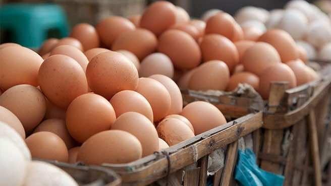 Azerbaijan, Turkiye To Supply Russia With Eggs
