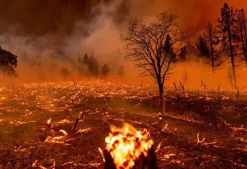 Climate Change Will Increase Wildfire Risk & Lengthen Fire Seasons: Study