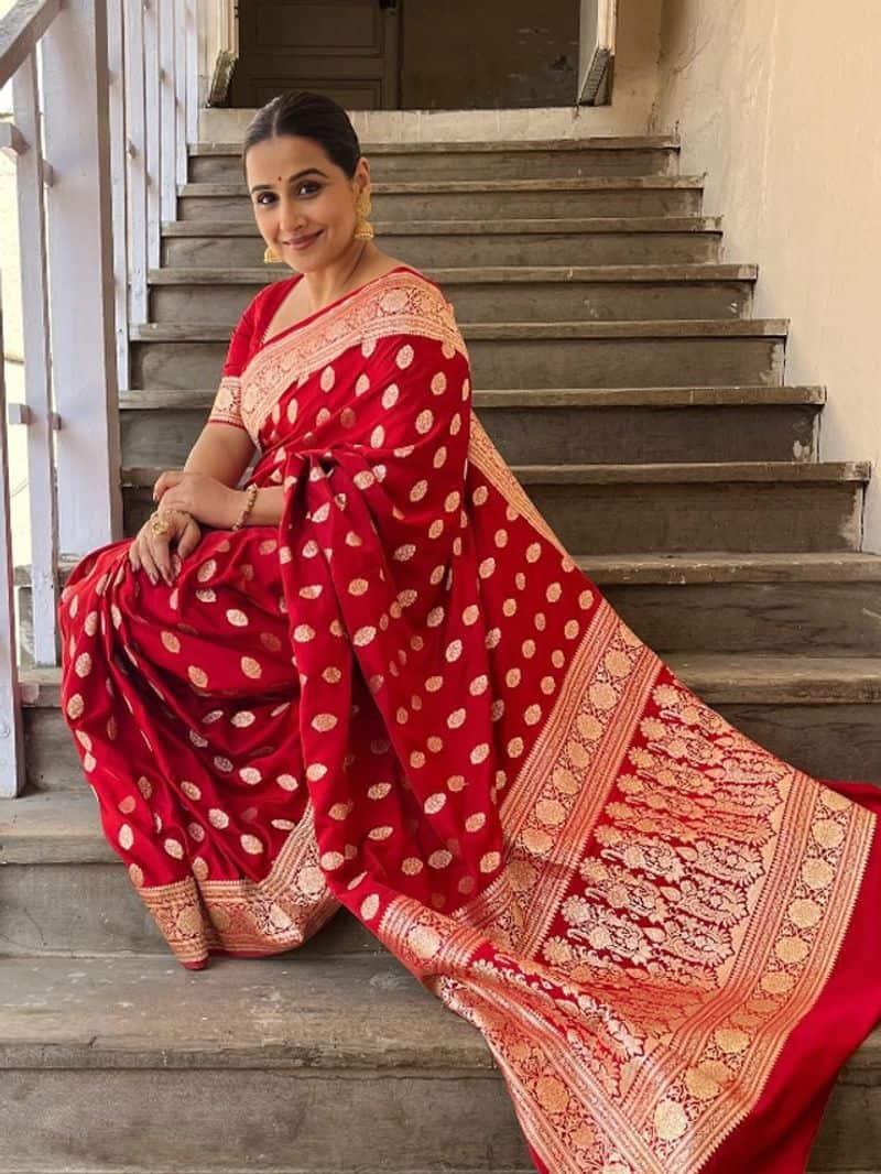 Meet Debjani, the designer behind Vidya Balan's Sherni motif sari