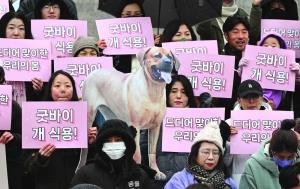 S Korea Parliament Passes Bill Banning Dog Meat Trade | MENAFN.COM