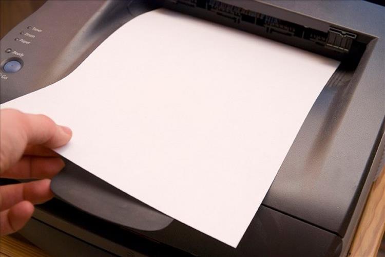 Analysis of the Commercial Inkjet Papers Market Forecast Report 2031 ...