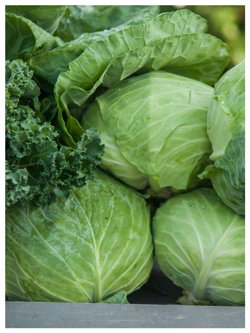 Skin Health To Bone Health: 7 Lesser Known Benefits Of Cabbage