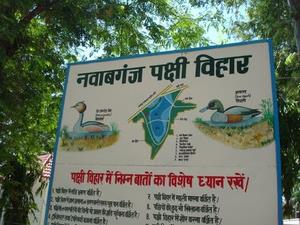 NGT Notice Seeks Status Of UP's Nawabganj Bird Sanctuary